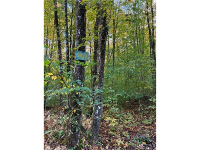 Kayuta Lake Acreage For Sale in Alder Creek New York