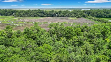 Gorgeous marshfront lot in desired Tolomato Island - photo 1