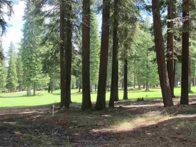 Lake Almanor Lot For Sale in Lake Almanor West California