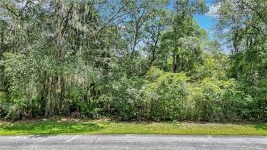 Gorgeous marshfront lot in desired Tolomato Island - photo 2