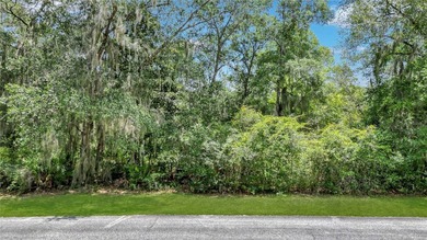 Gorgeous marshfront lot in desired Tolomato Island - photo 3