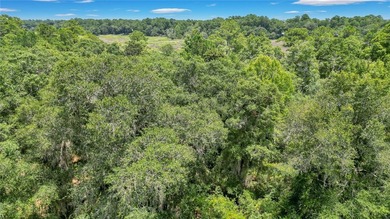 Gorgeous marshfront lot in desired Tolomato Island - photo 4