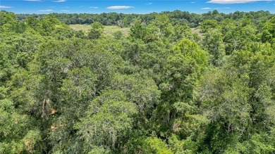 Gorgeous marshfront lot in desired Tolomato Island - photo 4