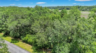 Gorgeous marshfront lot in desired Tolomato Island - photo 5