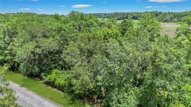 Gorgeous marshfront lot in desired Tolomato Island - photo 6
