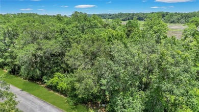 Gorgeous marshfront lot in desired Tolomato Island - photo 6
