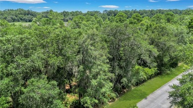 Gorgeous marshfront lot in desired Tolomato Island - photo 8
