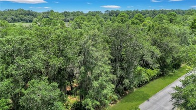 Gorgeous marshfront lot in desired Tolomato Island - photo 8