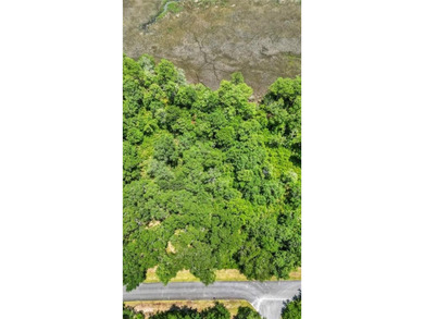 Gorgeous marshfront lot in desired Tolomato Island - photo 9