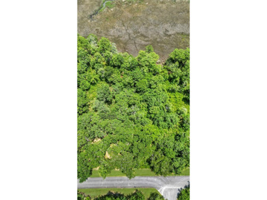 Gorgeous marshfront lot in desired Tolomato Island - photo 10