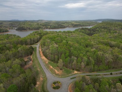 Welcome to Lot 177 in Eagle Pointe Shores nearly 3 acres located - photo 11