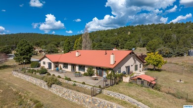 (private lake, pond, creek) Home For Sale in Hanover New Mexico