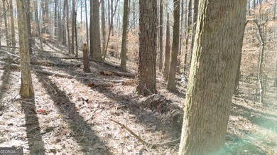 Large private estate lots surrounded by woods & creeks in a park - photo 2