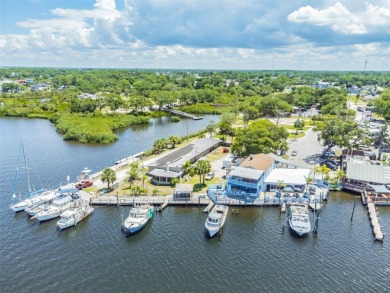 Legacy Property and location, South Pasco County, the only Port - photo 14