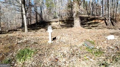 Large private estate lots surrounded by woods & creeks in a park - photo 5