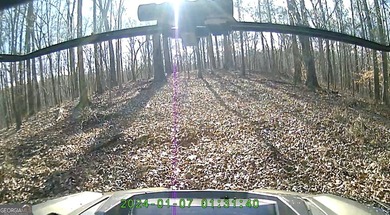 Large private estate lots surrounded by woods & creeks in a park - photo 6