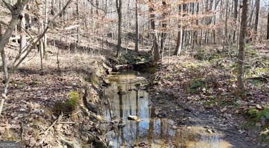 Large private estate lots surrounded by woods & creeks in a park - photo 8