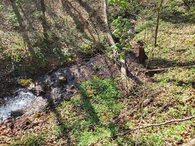 38+/- Acres of Unrestricted Mountain Land - Natural Spring - photo 2