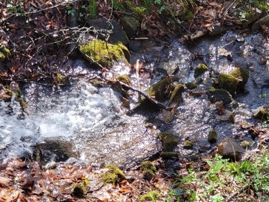 38+/- Acres of Unrestricted Mountain Land - Natural Spring - photo 3