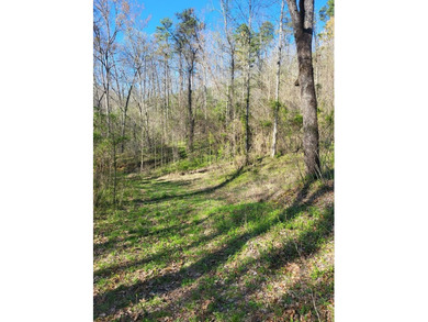 38+/- Acres of Unrestricted Mountain Land - Natural Spring - photo 4