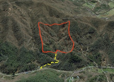 38+/- Acres of Unrestricted Mountain Land - Natural Spring - photo 5