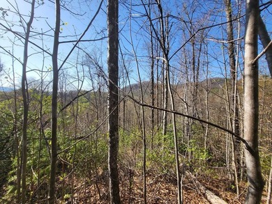 38+/- Acres of Unrestricted Mountain Land - Natural Spring - photo 6