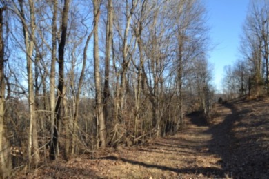 5.52 AC W/ RIVER- MTN- VALLEY VIEWS FOR MILES & MILES - photo 2
