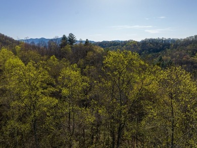 38+/- Acres of Unrestricted Mountain Land - Natural Spring - photo 7