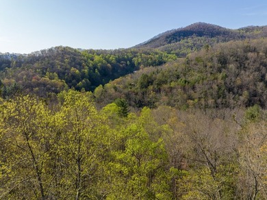 38+/- Acres of Unrestricted Mountain Land - Natural Spring - photo 8