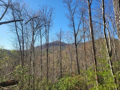 38+/- Acres of Unrestricted Mountain Land - Natural Spring - photo 9
