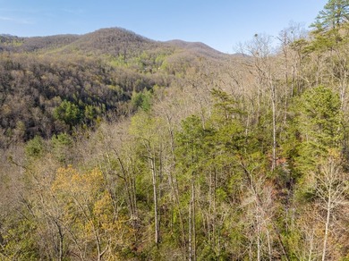 38+/- Acres of Unrestricted Mountain Land - Natural Spring - photo 10