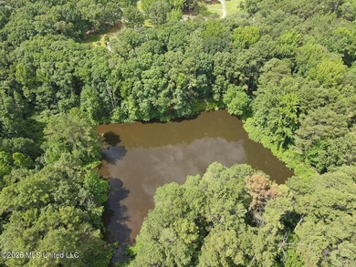 Honey, grab the fishing poles! This is the country retreat - photo 48