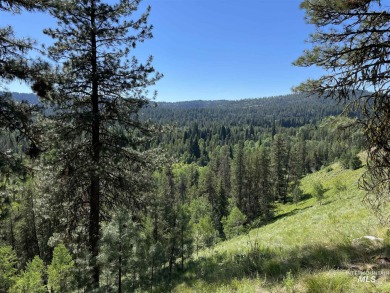 (private lake, pond, creek) Acreage For Sale in Mccall Idaho