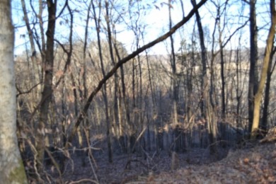 5.52 AC W/ RIVER- MTN- VALLEY VIEWS FOR MILES & MILES - photo 7