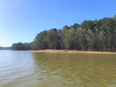 The Sandy shores of Little River Landing are ready and waiting - photo 2