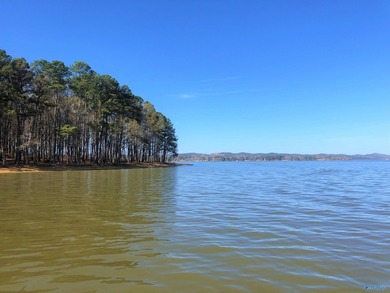 The Sandy shores of Little River Landing are ready and waiting - photo 4
