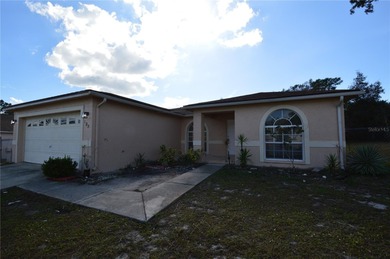 Lake Marion - Polk County Home For Sale in Kissimmee Florida