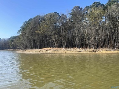 The Sandy shores of Little River Landing are ready and waiting - photo 4