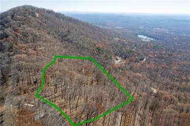 Lake Sconti Acreage For Sale in Jasper Georgia