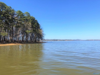 Oh, the joy of owning a property on Little River Landing - photo 2