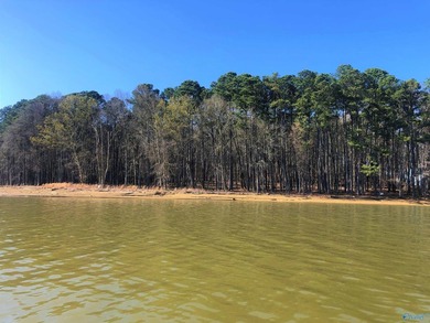 Oh, the joy of owning a property on Little River Landing - photo 4
