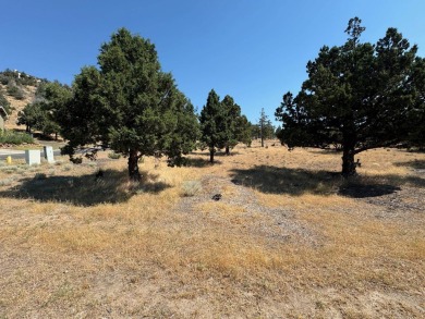  Lot For Sale in Weed California