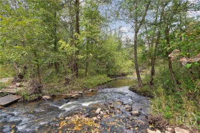 Lake Acreage For Sale in Carlton, Georgia