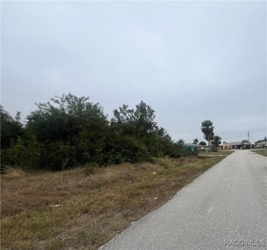 Port Charlotte Waterway Lakes Area Lot For Sale in Port Charlotte Florida