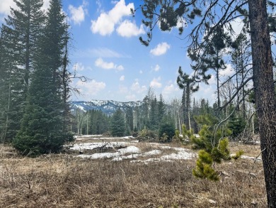 Lake Lot For Sale in Donnelly, Idaho