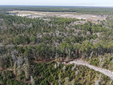 Prime commercial development opportunity located less than half - photo 15