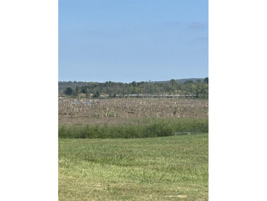 This property offers alot! Right across street from Conway Lake - photo 5