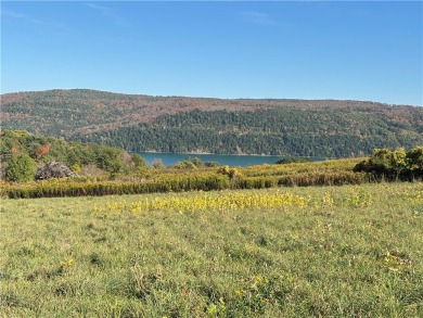 Lake Acreage For Sale in Cooperstown, New York