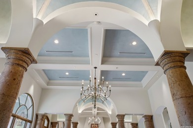 Experience resort-style living in this extraordinary - photo 41