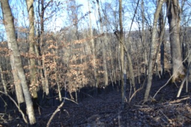 5.52 AC W/ RIVER- MTN- VALLEY VIEWS FOR MILES & MILES - photo 4